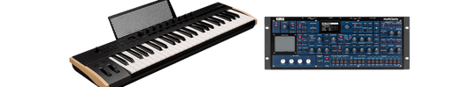 The Combination of Multi/Poly Rack | Module and KORG Keystage 49