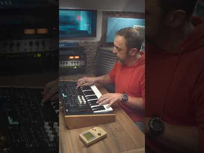 Orchestra Essentials Vol.1 - 60+ Sounds for Korg WaveState