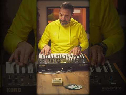 80s Pop Hits Vol.2 | 60+ Sounds for Korg WaveState