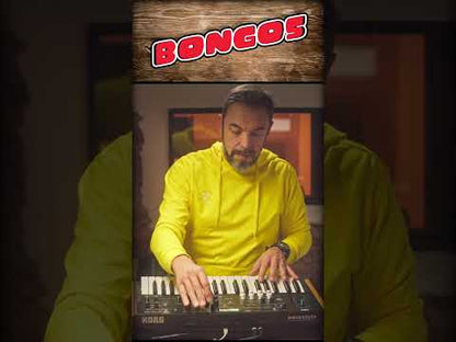 Drum Essentials Vol.1 - 70+ Korg WaveState Patches